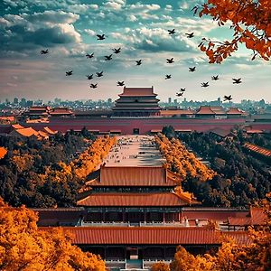 Beijing Tangfu Sanlitun Boutique Hotel---Breakfast, Restaurant And Bar, Close To Tian'Anmen Square Forbidden City Temple Of Heaven, Laundry, Gym, Robot, Ticket Service, Located In City Center Metro Line 2, One Station To Airport Express